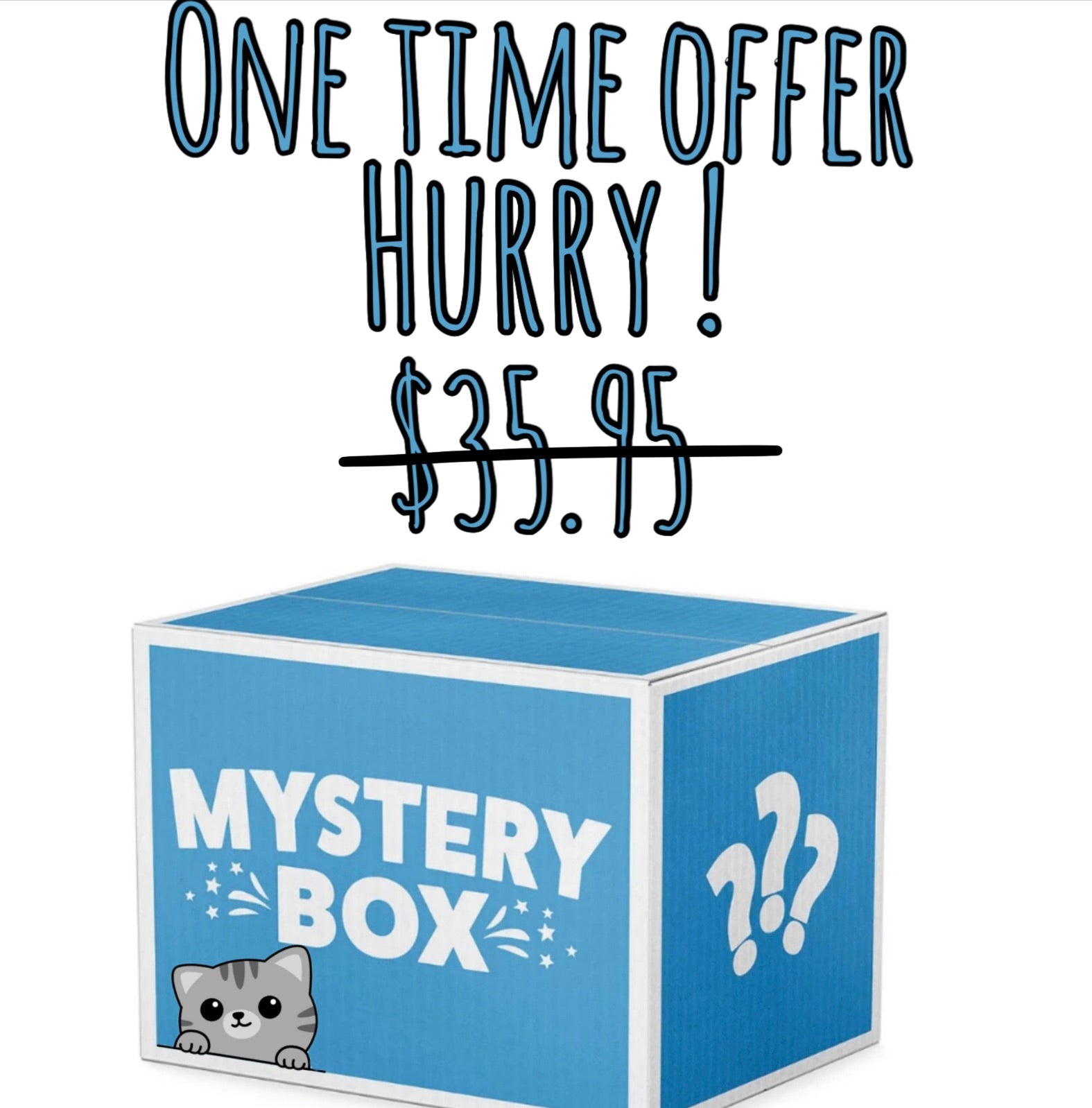 Our Best Selling Cat Mystery Box